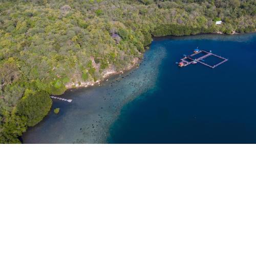 Menjangan Ecolodge - CHSE Certified
