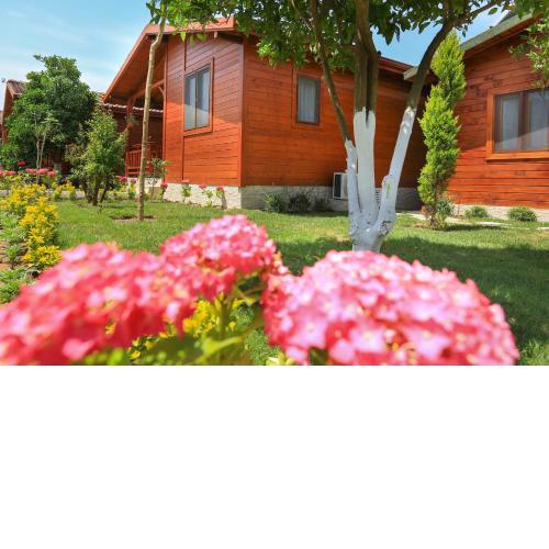 Merry Bungalow & Tent