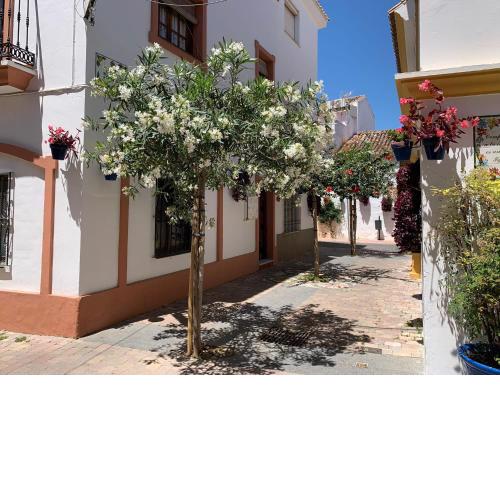 Mi Casita de Pueblo Centro Histórico