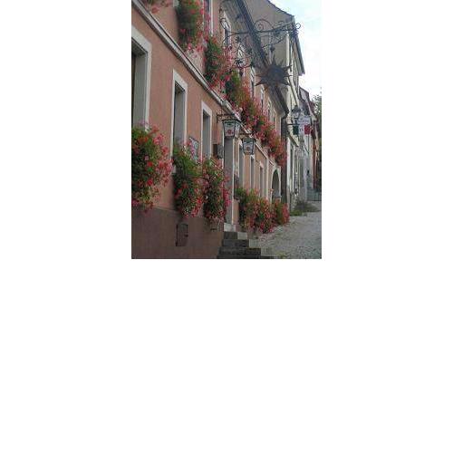Michels Stern
