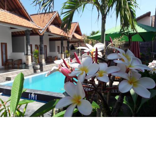 Miko Bali Bungalow