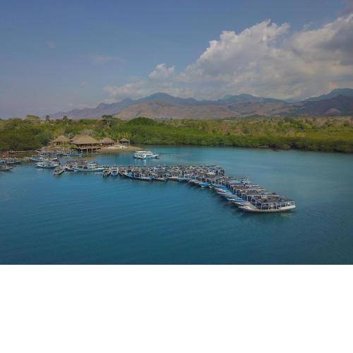 Mimpi Resort Menjangan