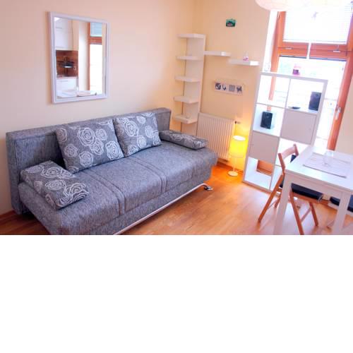 Mini Studio Apartment