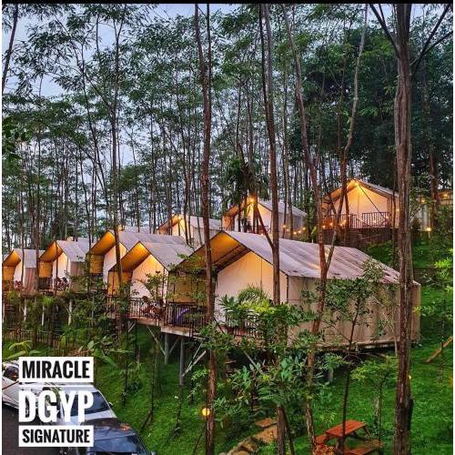 Miracle Signature Hills