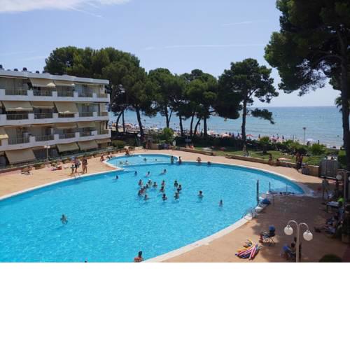 Miramar Serveis - Internacional