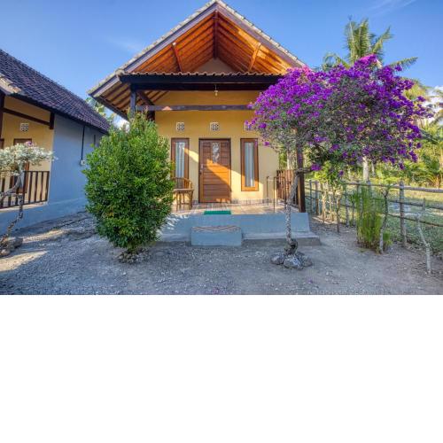 Misa Guest House