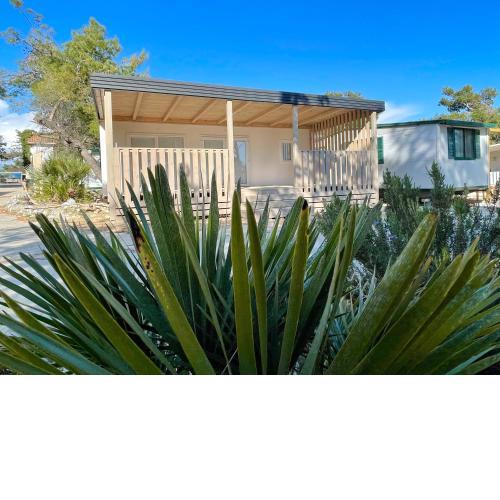 Mobile Home Bora