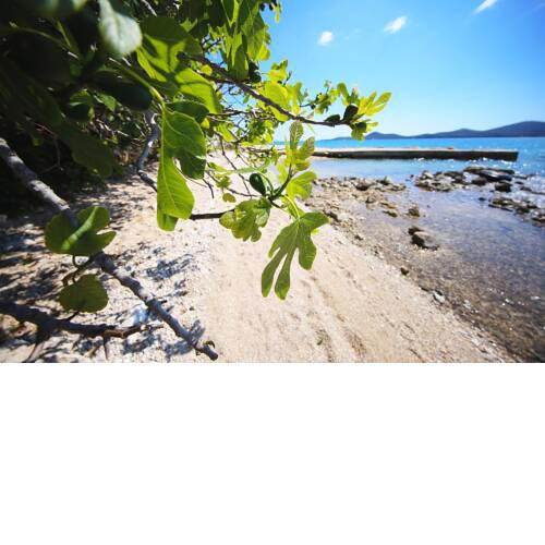 Mobile Home Plumeria 1