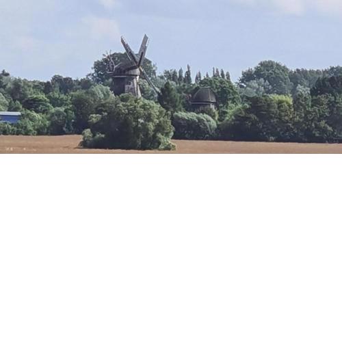 Mobilheime Strandnähe