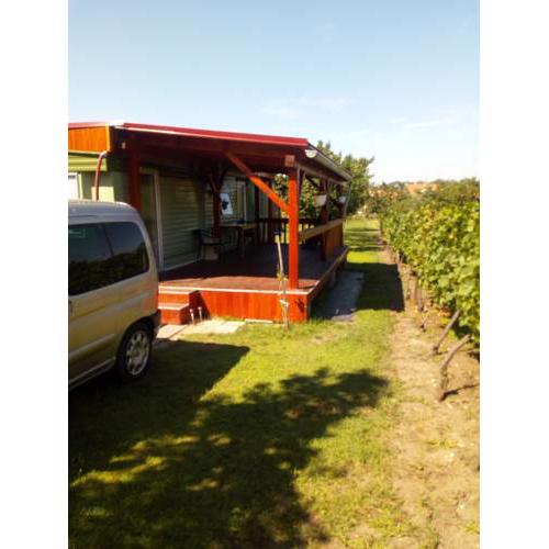 Mobilhome mezi vinohrady