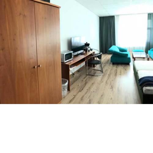 Möbliertes 1 Raum Appartement 34m² in Leipzig Steinbergstr.3