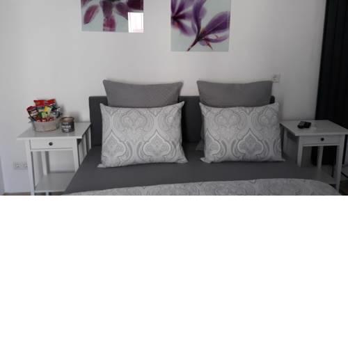 Moderm Basement Apartment