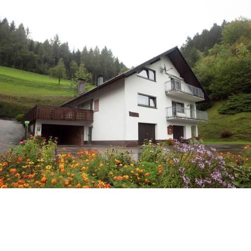 Modern Apartment in Bad Peterstal-Griesbach with Vineyards