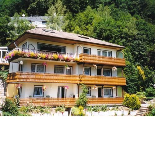 Modern Apartment in Bad Rippoldsau near Town Center