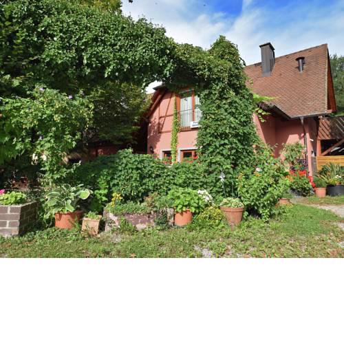 Modern Apartment in Freiburg with garden in the luxury of nature