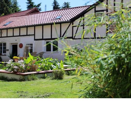 Modern Apartment in Wulften am Harz with Terrace
