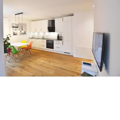 Modern apartment near downtown