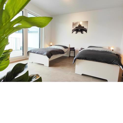 Modern Apartment near Offenbach in Seligenstadt