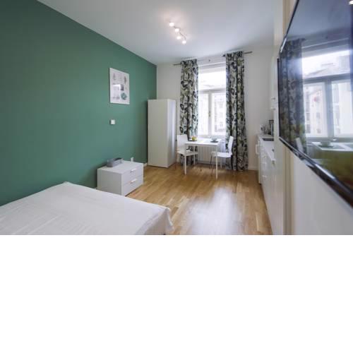 Modern apartment Spanelska
