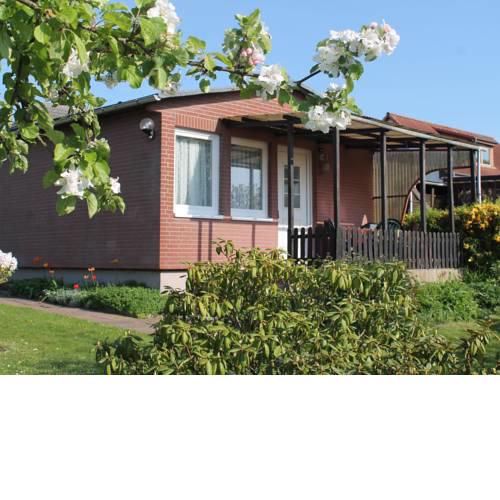 Modern Bungalow with Garden near the Sea in Boltenhagen