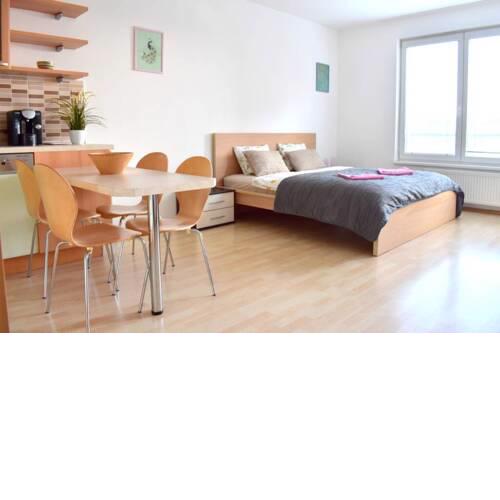 Modern studio 8MIN away from the AIRPORT!