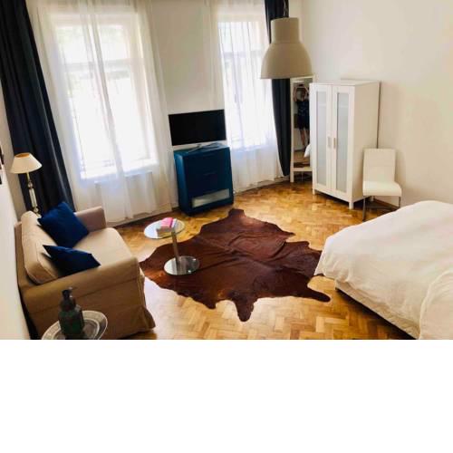 Modern Studio in the heart of Vienna