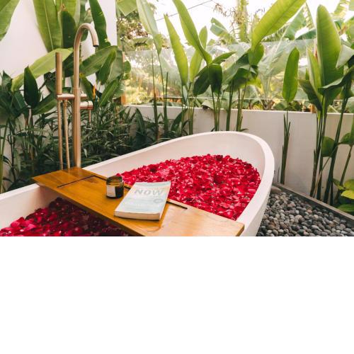 Modern Tropical 3BR villa Seseh, Canggu