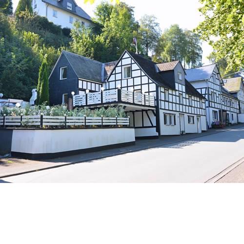 Modern Vacation House in Schmallenberg Germany Near Ski Area