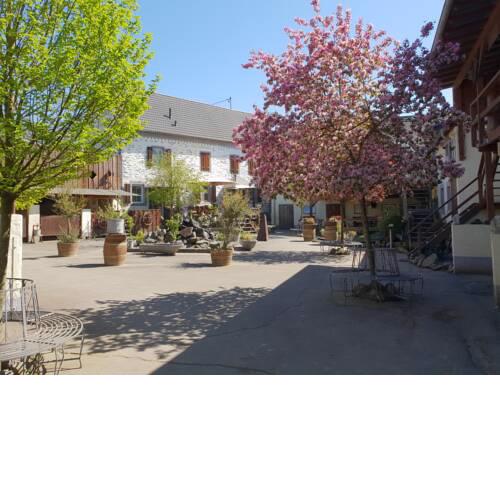 Moderne Ferienwohnung auf idyllischem Reiterhof nähe Burg Eltz