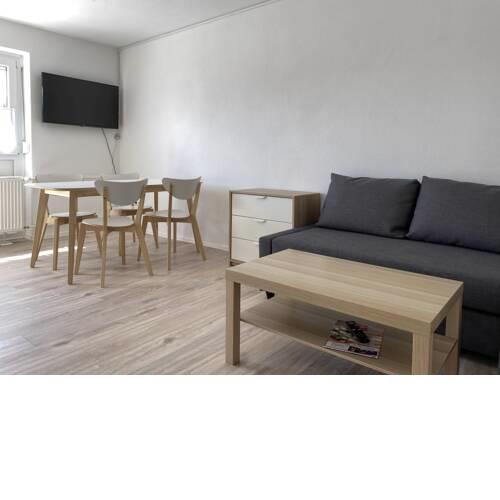 Moderne Ferienwohnung / Monteurwohnung / Übergangswohnung mit Balkon (SAD151)