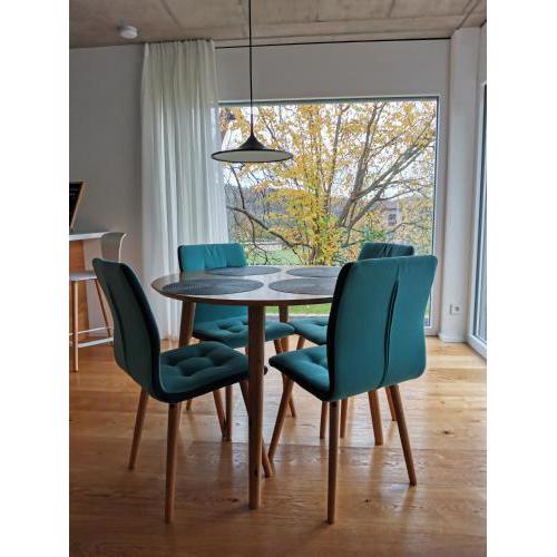 Moderne Ferienwohnung Rhenum mit Wallbox