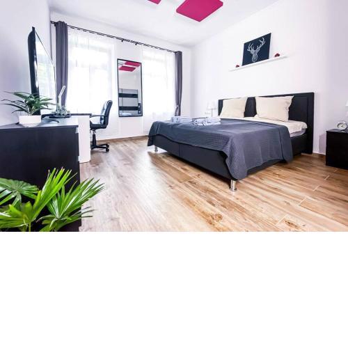 ✿ MODERNER NEUBAU im Kultviertel Plagwitz ✿