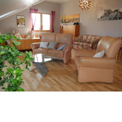Modernes Studio in ruhiger Lage in Waghäusel