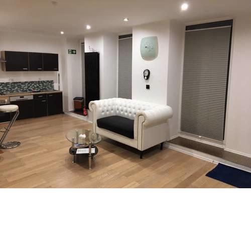 modern,light,clean 1Room Apartment central