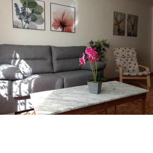 Molina. Acogedor apartamento, amplio y céntrico