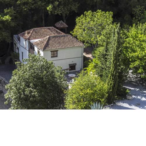 Molino alto