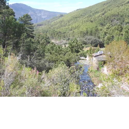 Molino rehabilitado con piscina en entorno natural