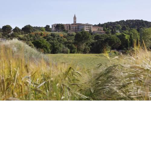 Monestir de Les Avellanes