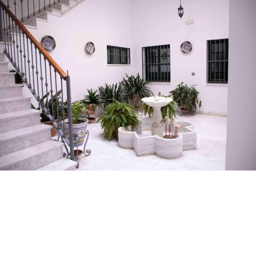 Monkeys Apartments Setas Goyeneta