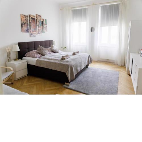 Moonlight one bedroom apartment centrally located in vienna near Schönbrunn and Westbahnhof