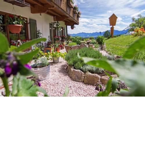 moor&mehr Bio Kurhotel Bad Kohlgrub