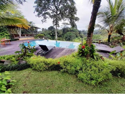 Moringga Ubud