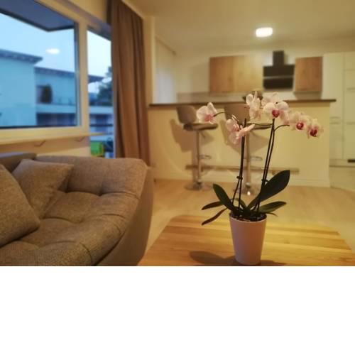 Moscow Areal Suite