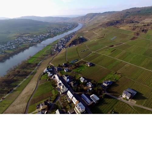 Mosel-Secret Ferienwohnung Kinheim Mosel