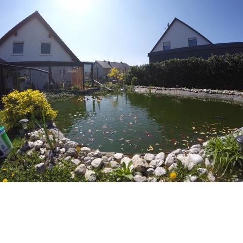 Moselie Ferienwohnung Kinheim Mosel