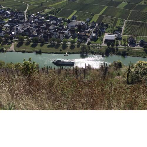 MOSELTEL Ernst,Cochem