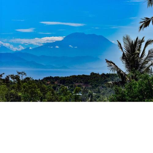 Mount Sea View Bungalow