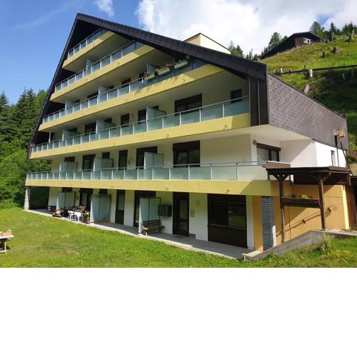 Mountain apartment Innerkrems
