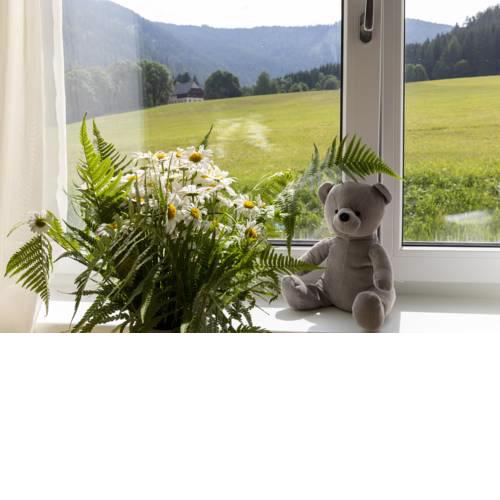 Mountain Resort St. Lambrecht by Alps Residence