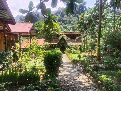 Mountain View Cottages & Villa Tangkahan